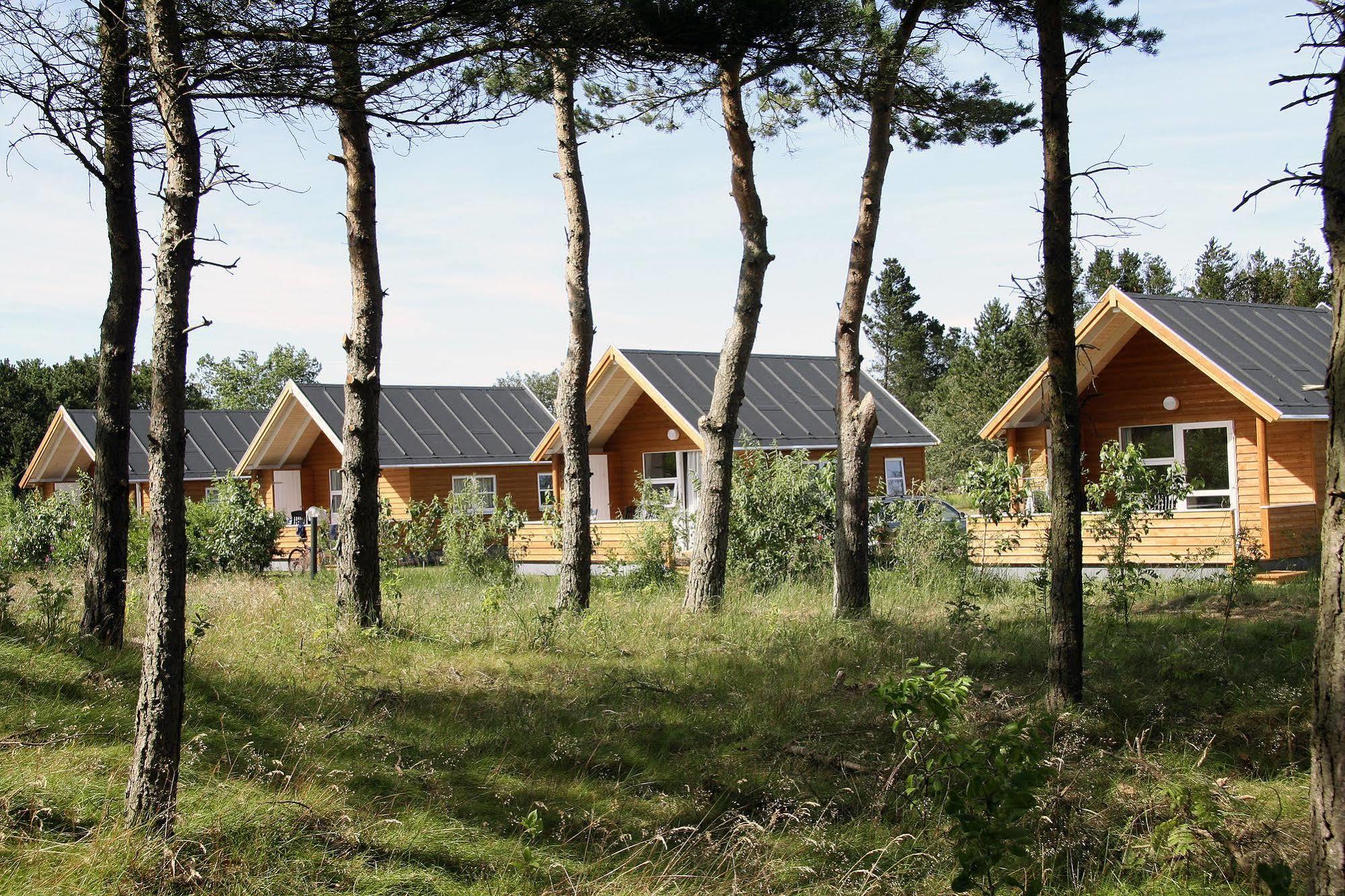 First Camp Rabjerg Mile - Skagen Exterior foto